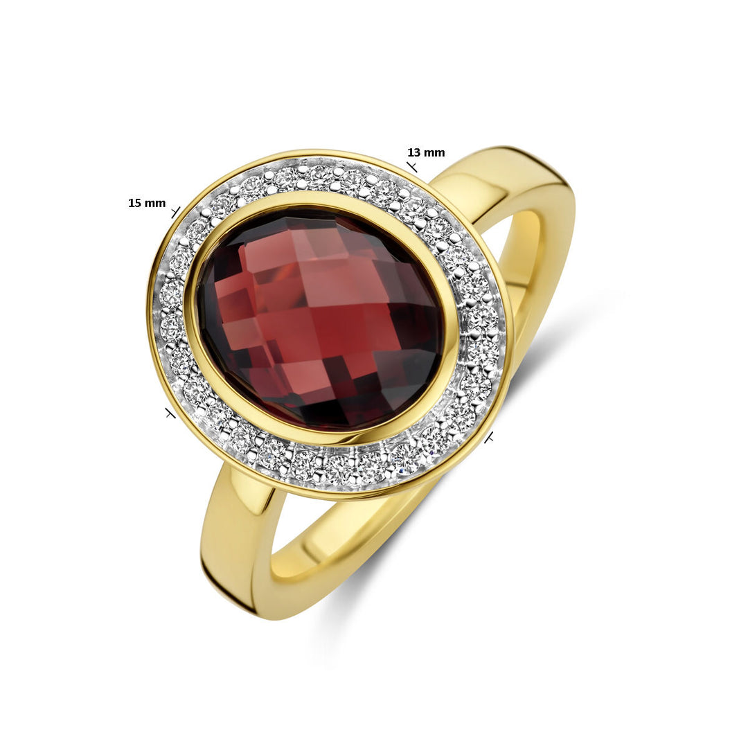 Stijlvolle 14k Geelgouden Ring met Granaat en Diamant