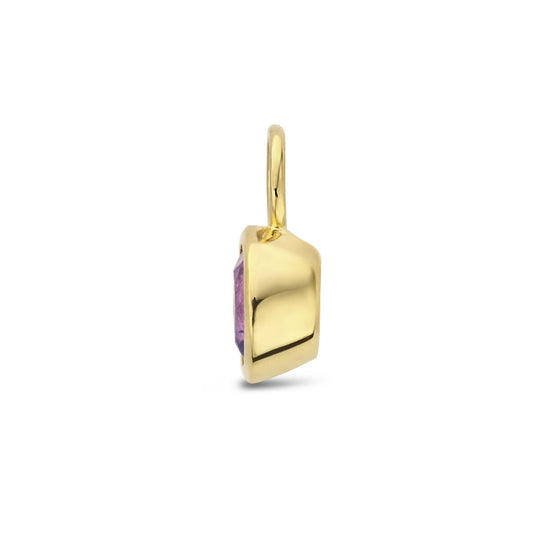 14K Geelgouden Oorringhanger Februari Geboortesteen 8,5x6mm – Per Stuk