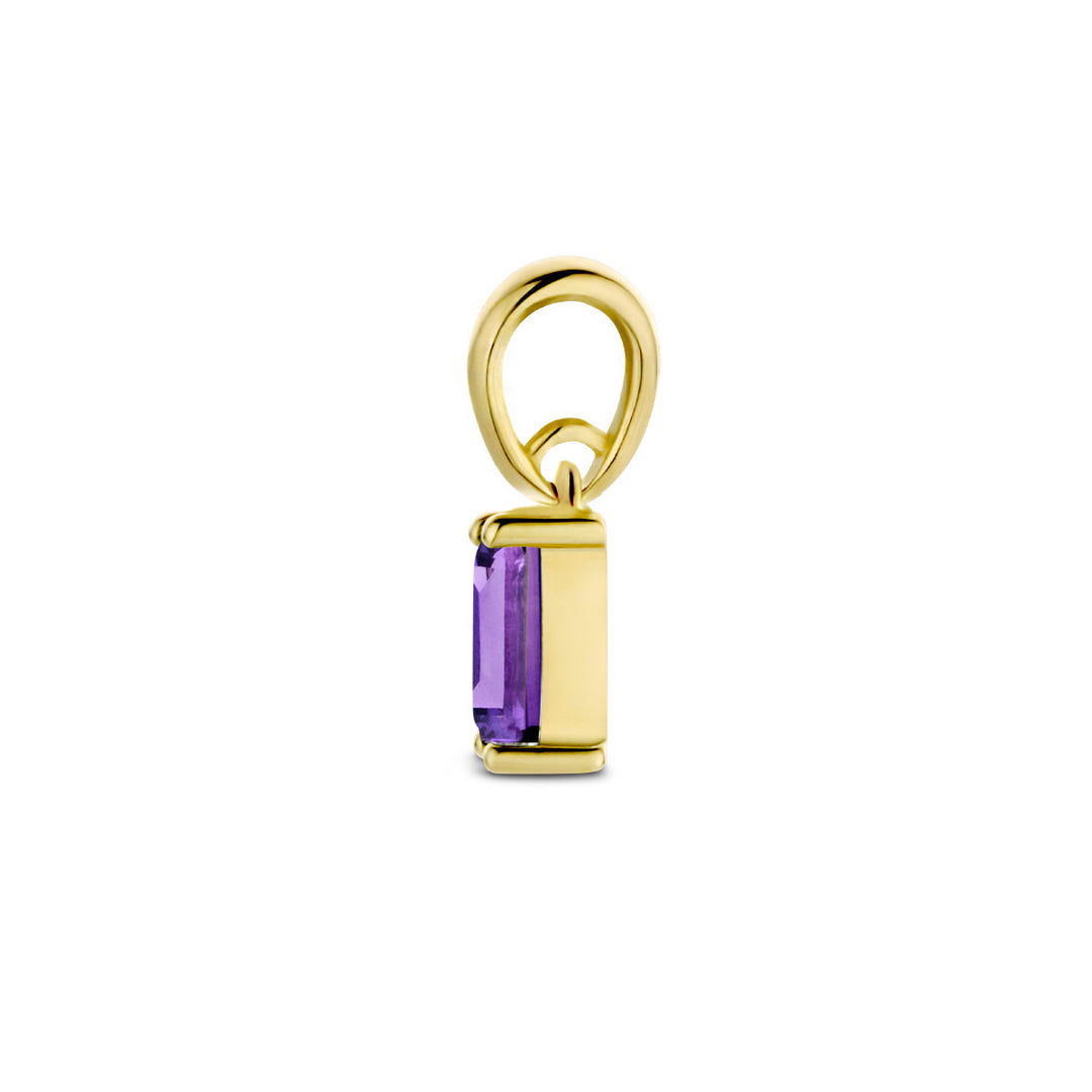 14K Geelgouden Hanger Februari Geboortesteen 9mm
