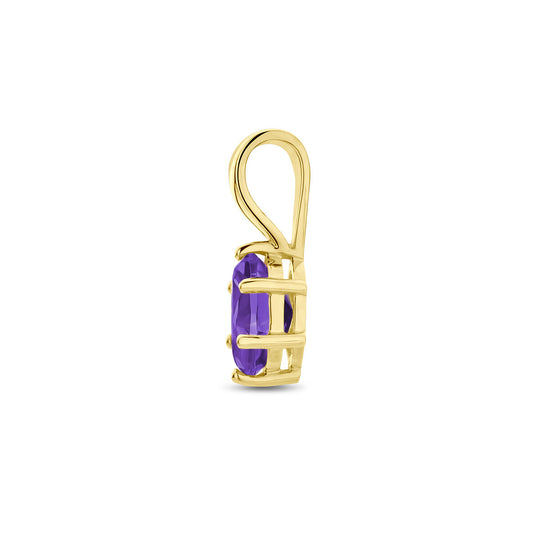 14K Geelgouden Hanger met Februari Geboortesteen – 13x4,5mm