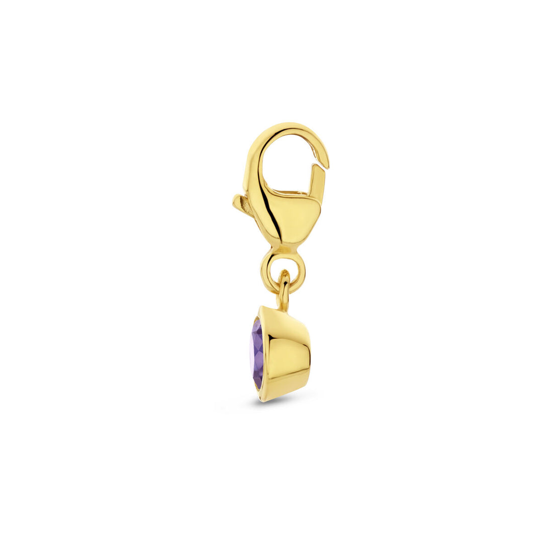 14K Geelgouden Slotbedel Februari Geboortesteen 15x5mm