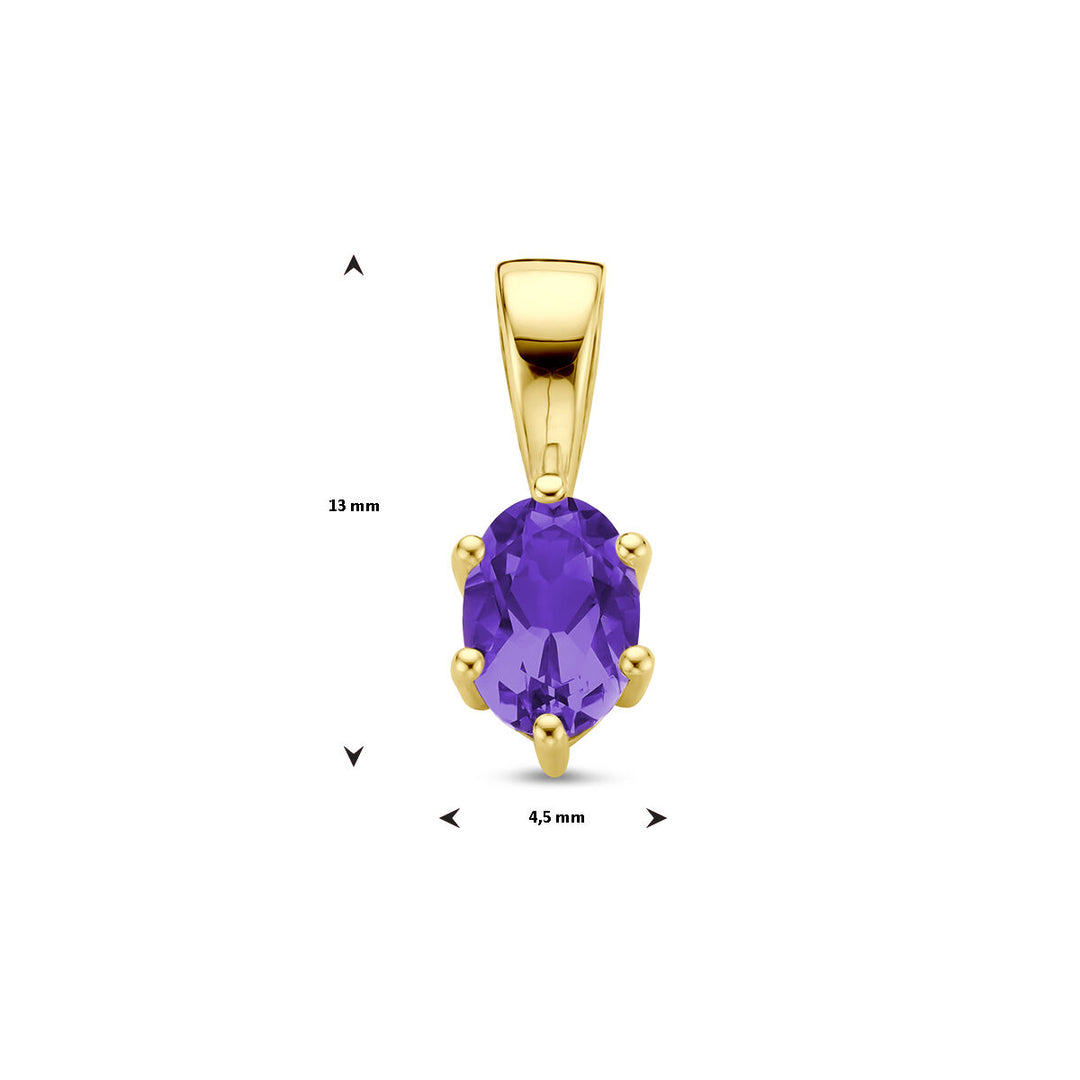 14K Geelgouden Hanger met Februari Geboortesteen – 13x4,5mm