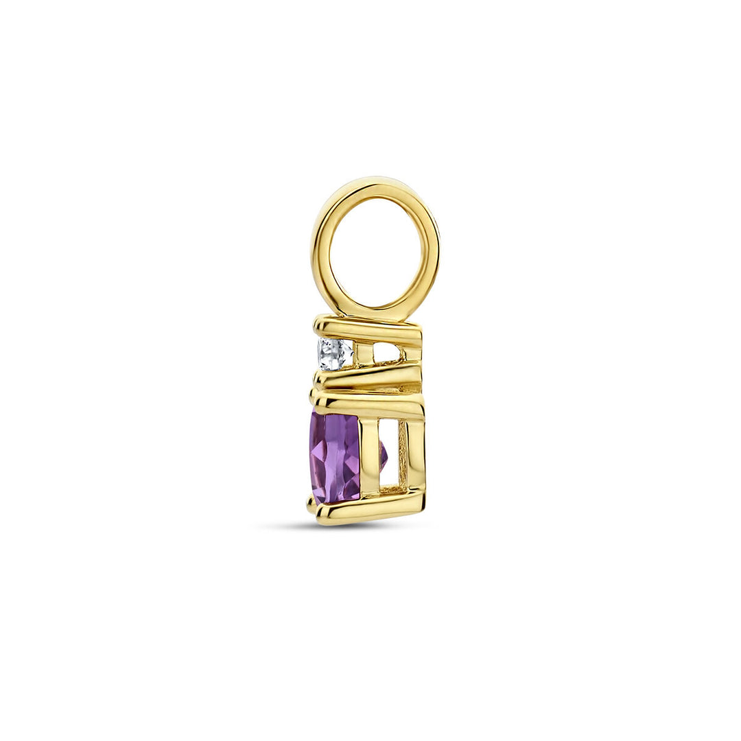 14K Geelgouden Hanger met Februari Geboortesteen & Diamant 0.02ct – 10,5mm