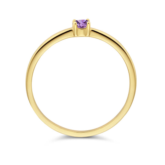 14k Geelgouden Ring Juni Lichtpaars Amethist Geboortesteen 3mm