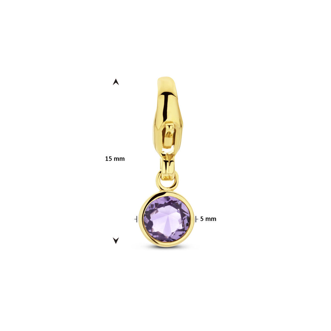 14K Geelgouden Slotbedel Februari Geboortesteen 15x5mm