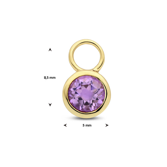 14K Geelgouden Oorringhanger Februari Geboortesteen 8,5x6mm – Per Stuk