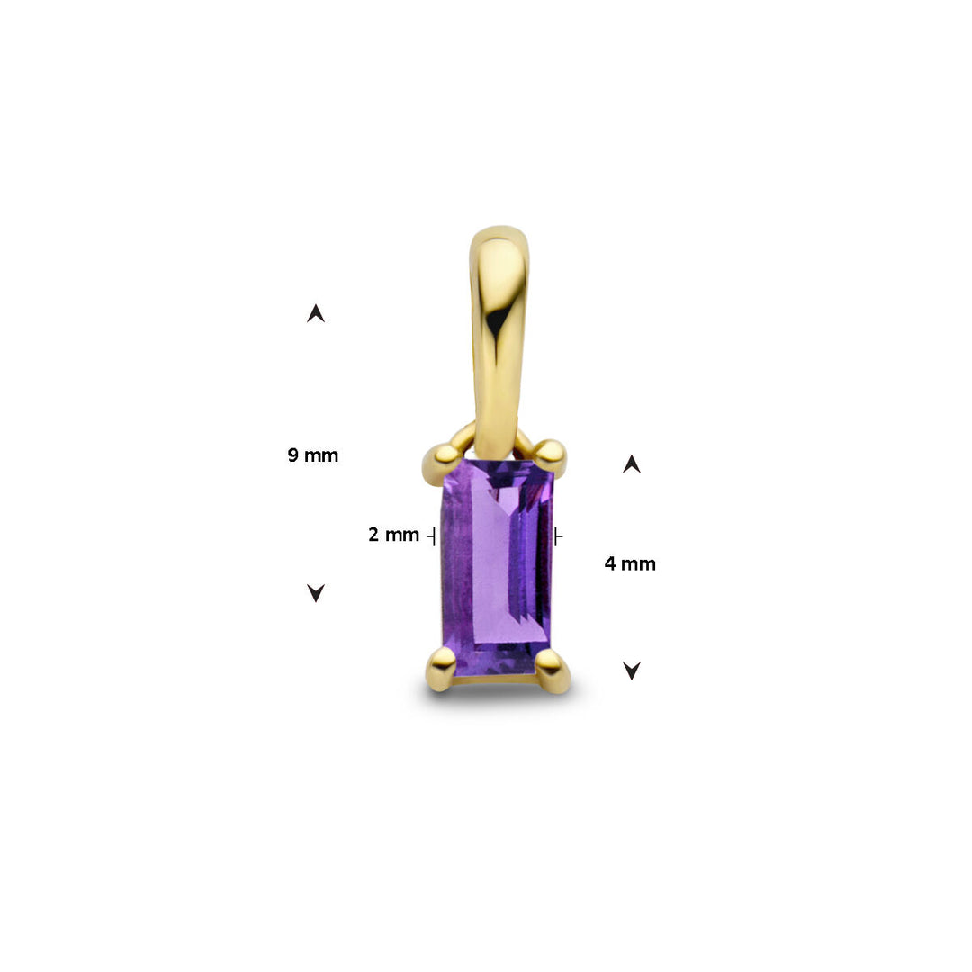 14K Geelgouden Hanger Februari Geboortesteen 9mm