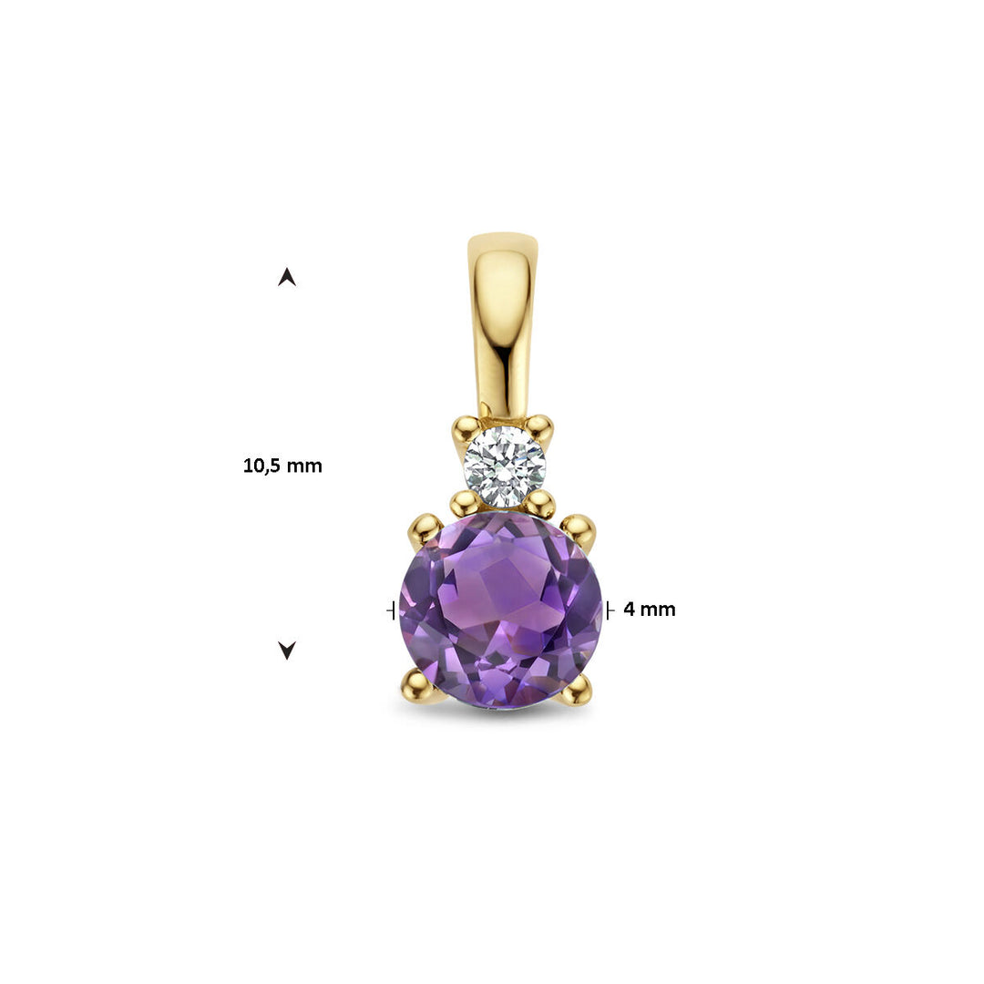 14K Geelgouden Hanger met Februari Geboortesteen & Diamant 0.02ct – 10,5mm