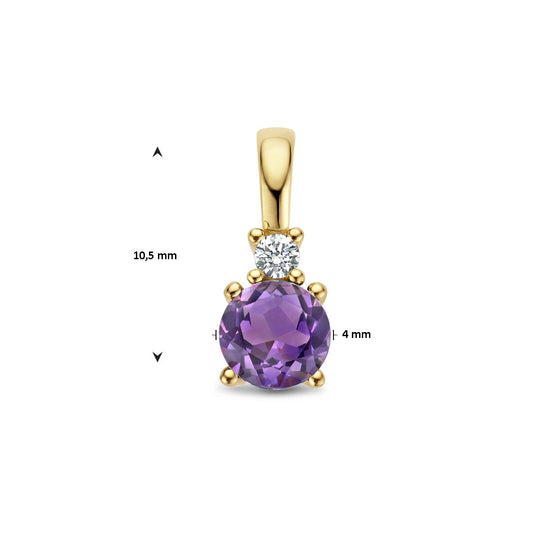 14K Geelgouden Hanger met Februari Geboortesteen & Diamant 0.02ct – 10,5mm