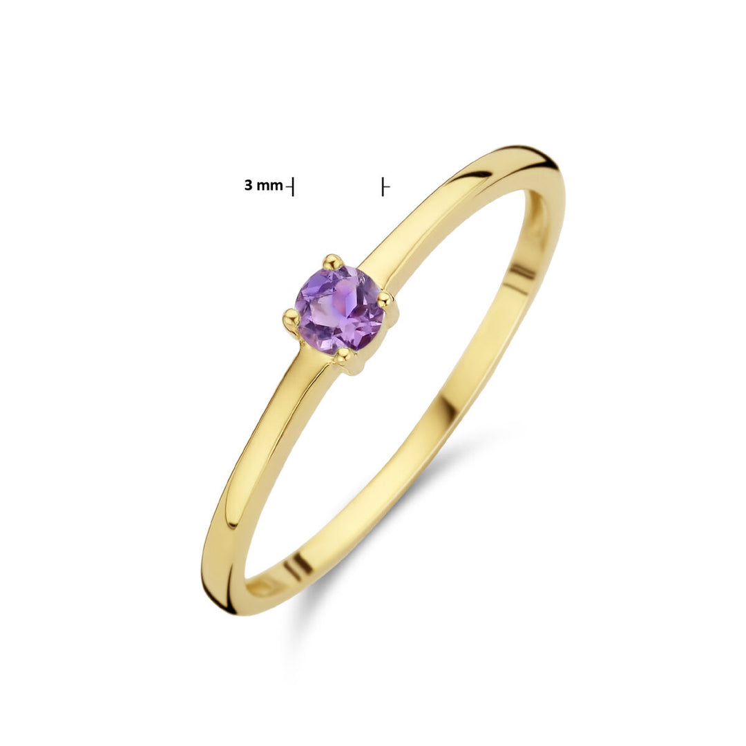 14k Geelgouden Ring Juni Lichtpaars Amethist Geboortesteen 3mm