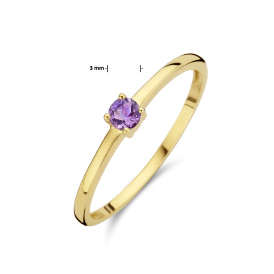 14k Geelgouden Ring Juni Lichtpaars Amethist Geboortesteen 3mm