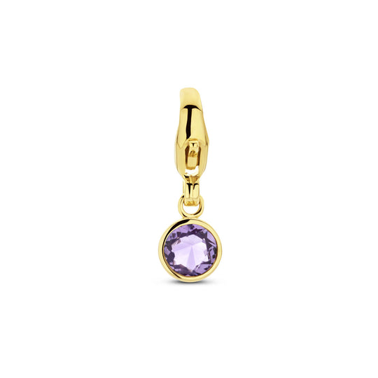 14K Geelgouden Slotbedel Februari Geboortesteen 15x5mm