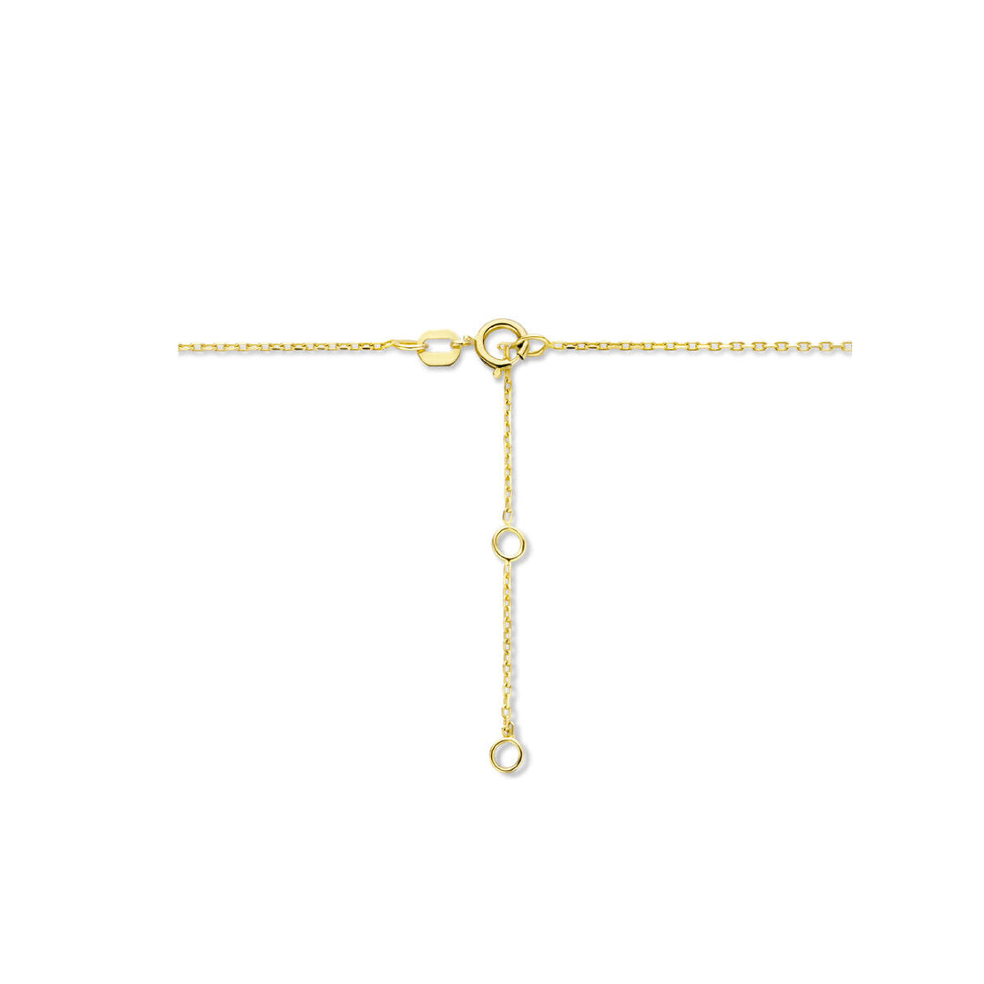 14K Geelgouden Graveercollier Augustus Zirkonia Geboortesteen 45-49cm