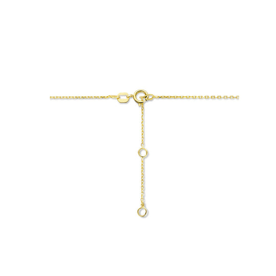 14K Geelgouden Graveercollier Augustus Zirkonia Geboortesteen 45-49cm