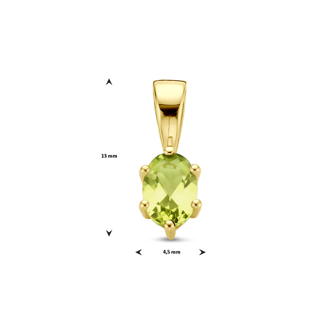 14K Geelgouden Hanger met Augustus Geboortesteen – 13x4,5mm