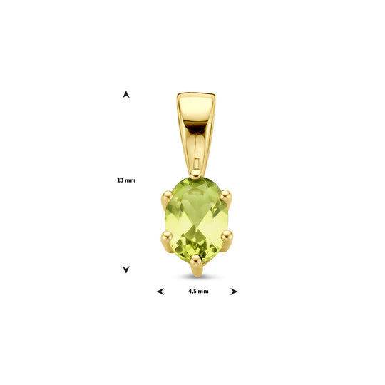 14K Geelgouden Hanger met Augustus Geboortesteen – 13x4,5mm