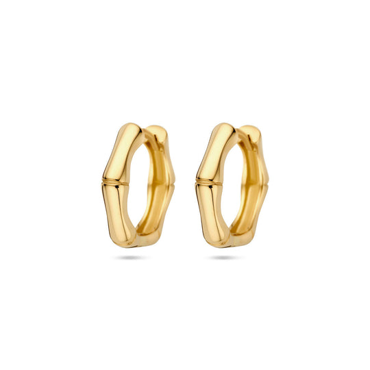 Verfijnde 14k Geelgouden Klapoorringen - Afmetingen 16x3.5mm