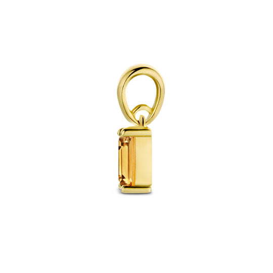 14K Geelgouden Hanger November Geboortesteen 9mm