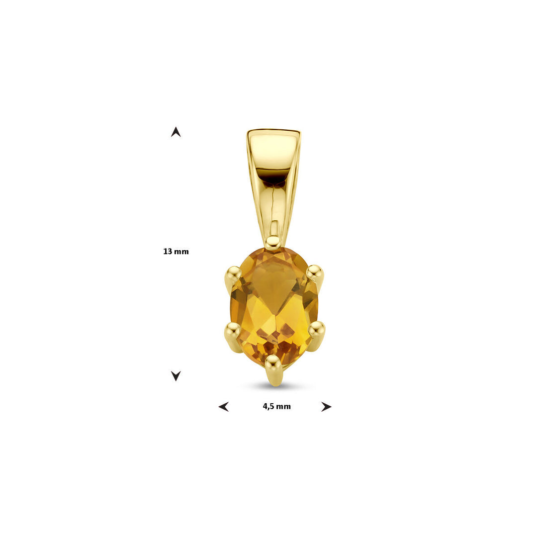 14K Geelgouden Hanger met November Geboortesteen – 13x4,5mm