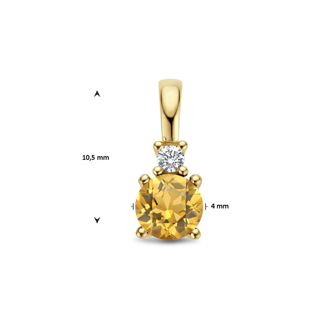 14K Geelgouden Hanger met November Geboortesteen & Diamant 0.02ct – 10,5mm