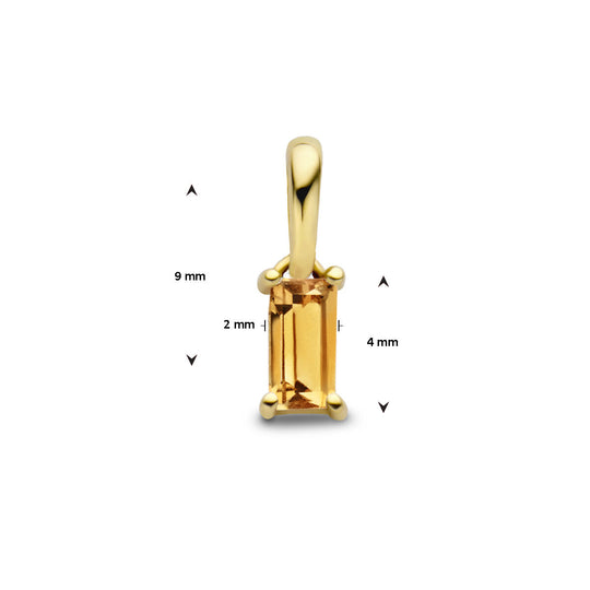 14K Geelgouden Hanger November Geboortesteen 9mm