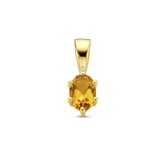 14K Geelgouden Hanger met November Geboortesteen – 13x4,5mm