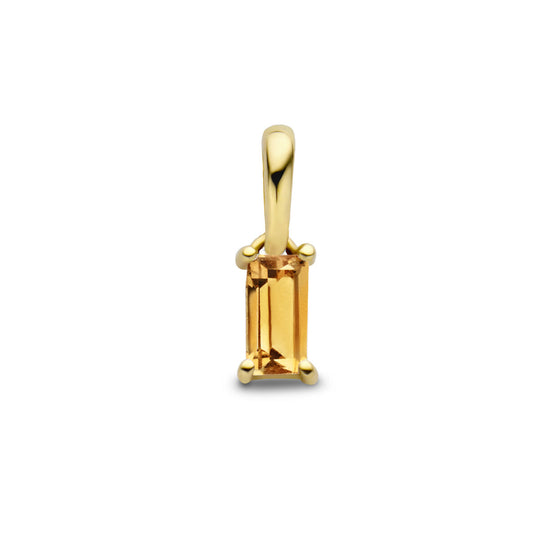 14K Geelgouden Hanger November Geboortesteen 9mm