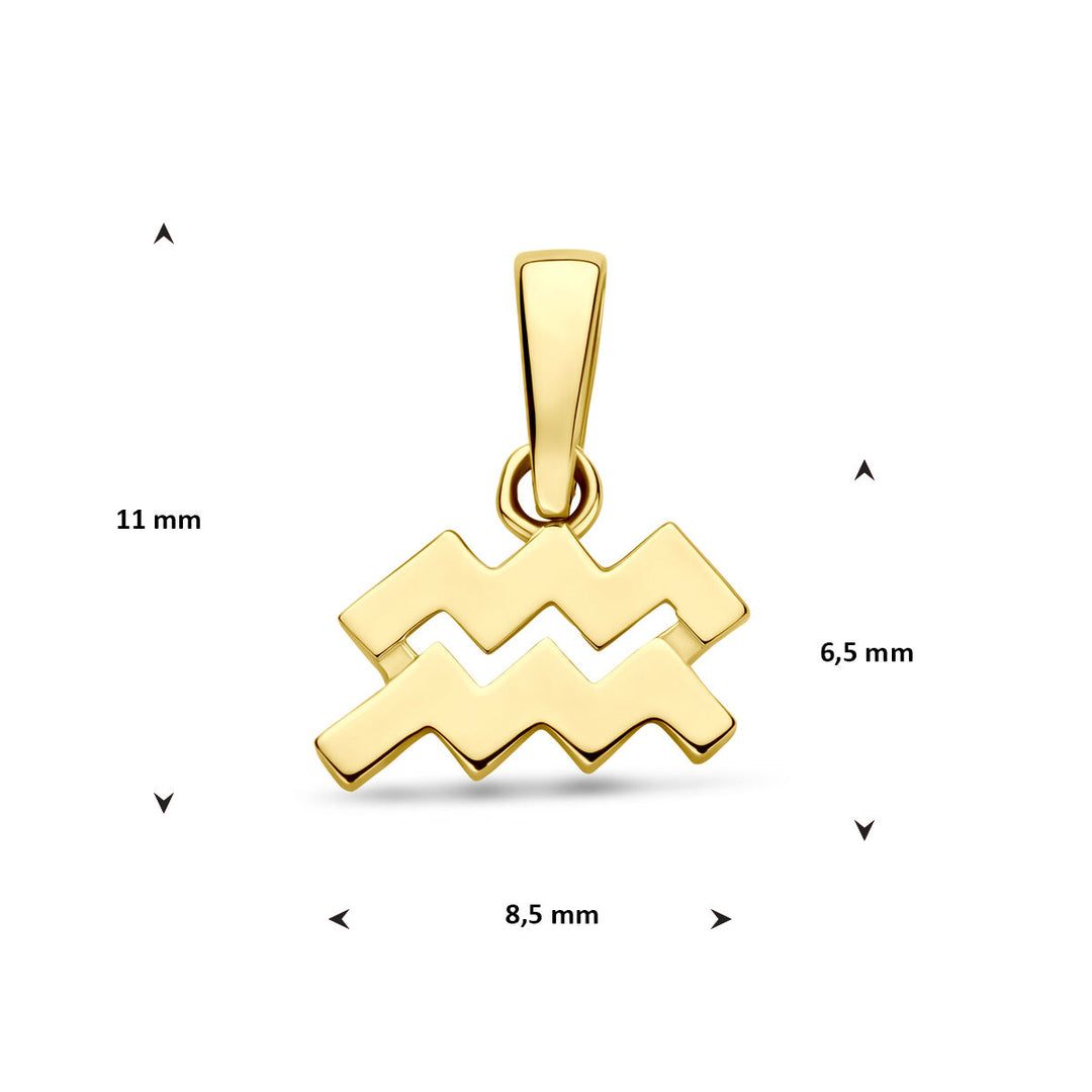 14k Geelgouden Hanger Sterrenbeeld Waterman – Per Stuk