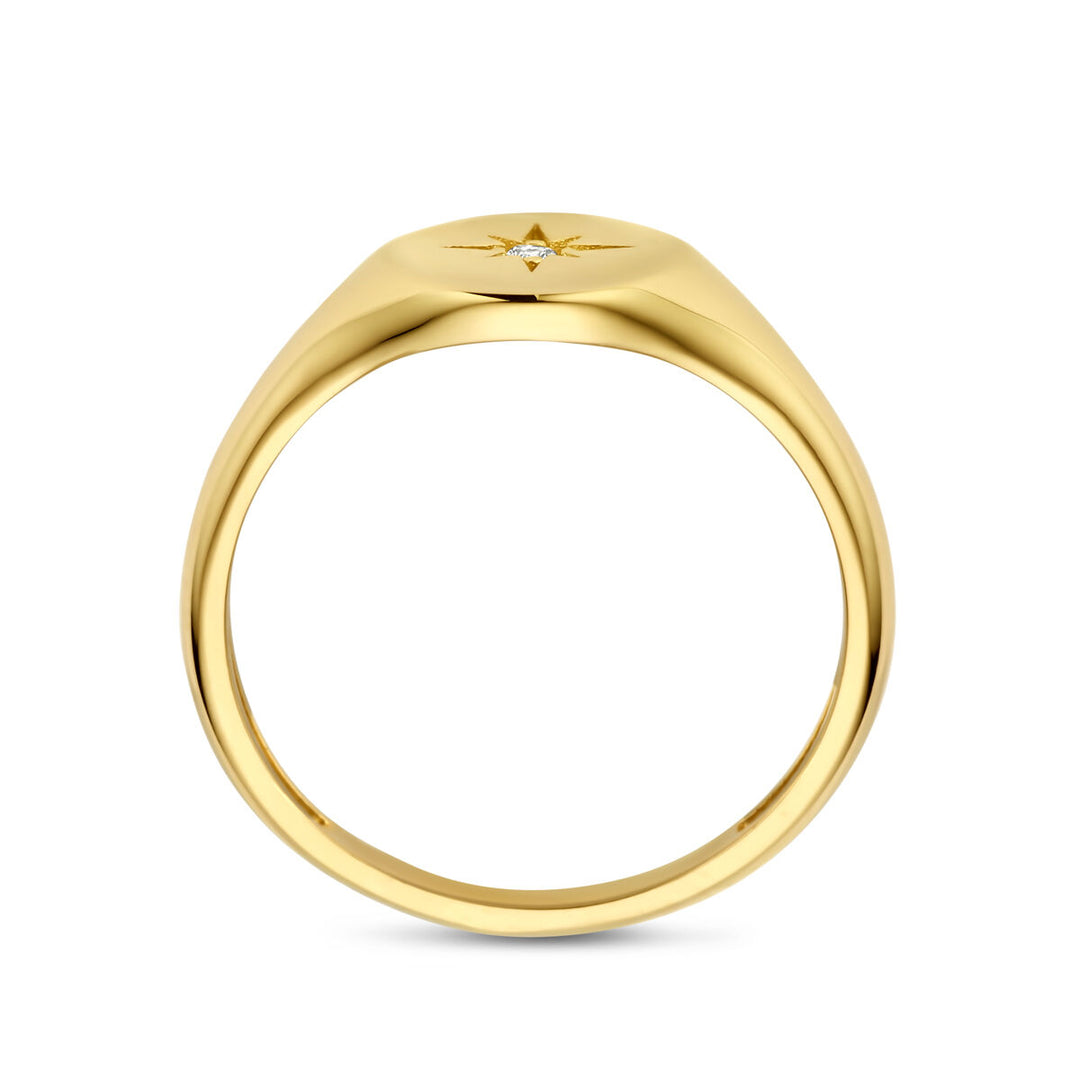 14k Geelgouden Ring met Sprankelende Zirkonia – Luxe en Tijdloze Elegantie