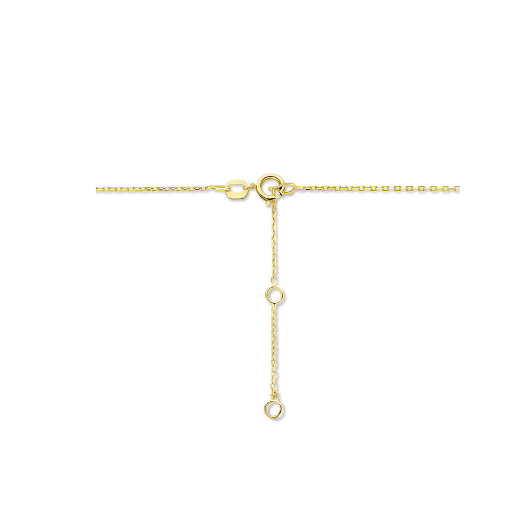 14K Geelgouden Graveercollier December Zirkonia Geboortesteen 45-49cm