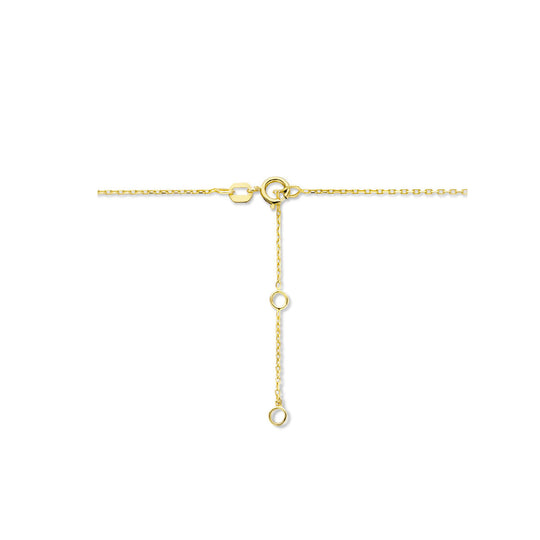 14K Geelgouden Graveercollier December Zirkonia Geboortesteen 45-49cm