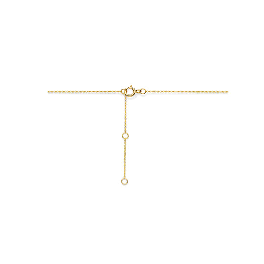 14k Geelgouden Collier met Lab Grown Diamant – Totaal Diamantgewicht 0.49ct