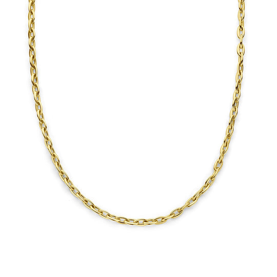 Verfijnd 14k Geelgouden Collier met 5.5mm Schakels en Karabijnsluiting