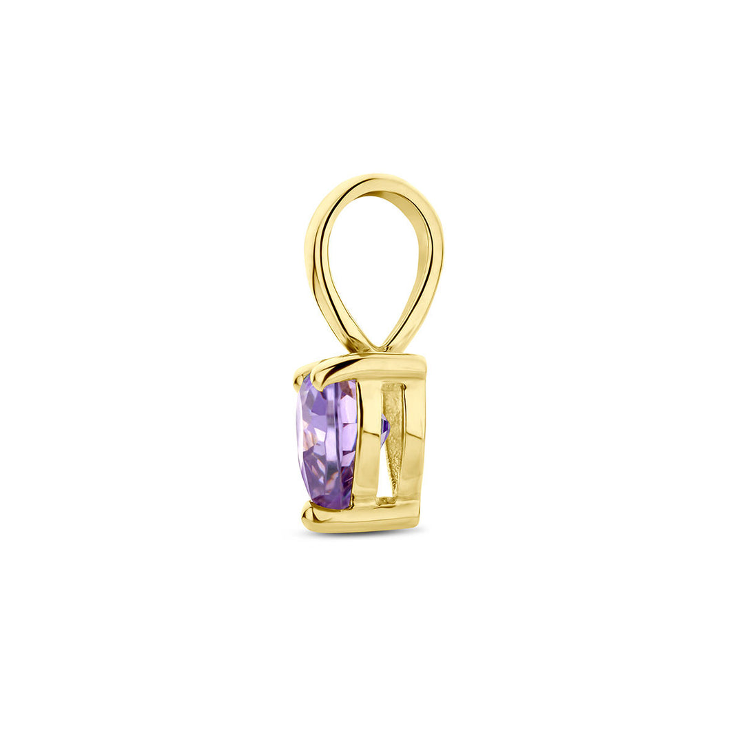 14K Geelgouden Hart Hanger met Februari Geboortesteen – 9,5mm