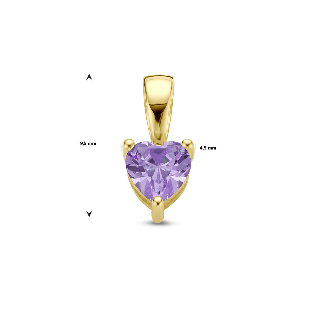 14K Geelgouden Hart Hanger met Februari Geboortesteen – 9,5mm