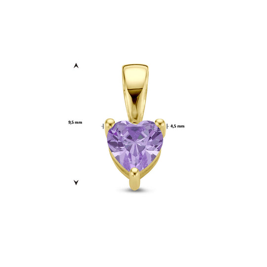 14K Geelgouden Hart Hanger met Februari Geboortesteen – 9,5mm