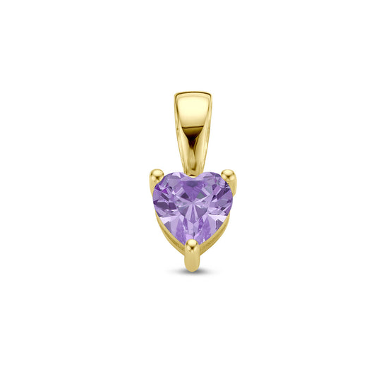 14K Geelgouden Hart Hanger met Februari Geboortesteen – 9,5mm