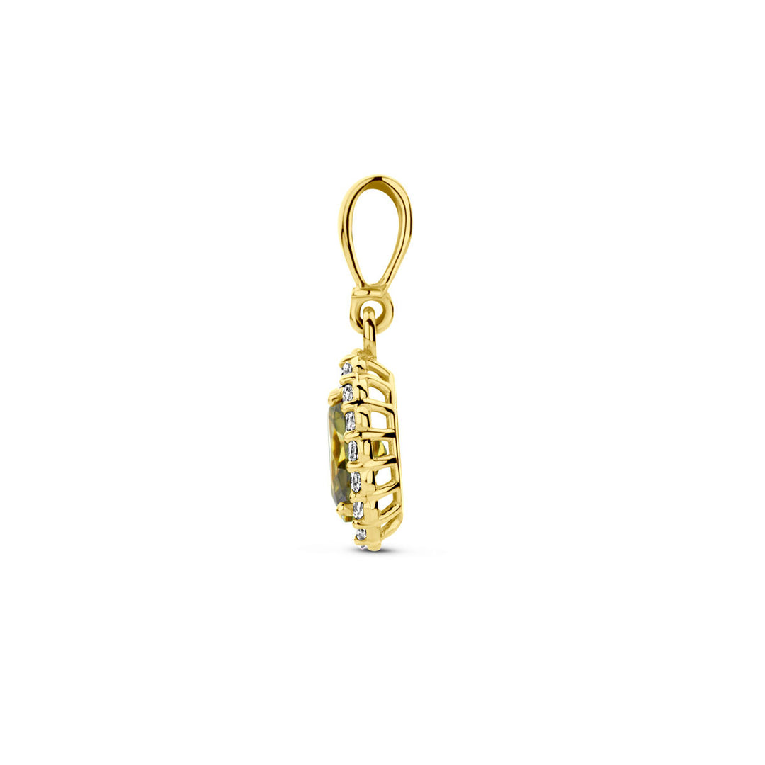 14K Geelgouden Hanger met Augustus Geboortesteen Zirkonia – 16mm