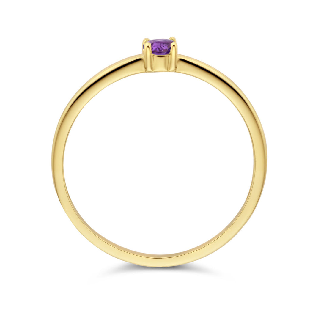 14k Geelgouden Ring Februari Amethist Geboortesteen 3mm