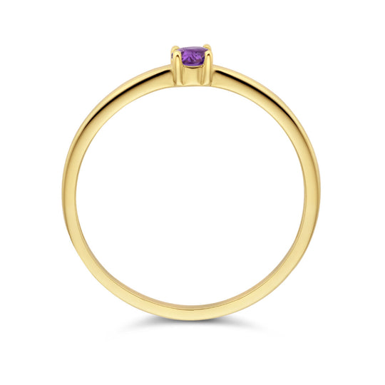 14k Geelgouden Ring Februari Amethist Geboortesteen 3mm