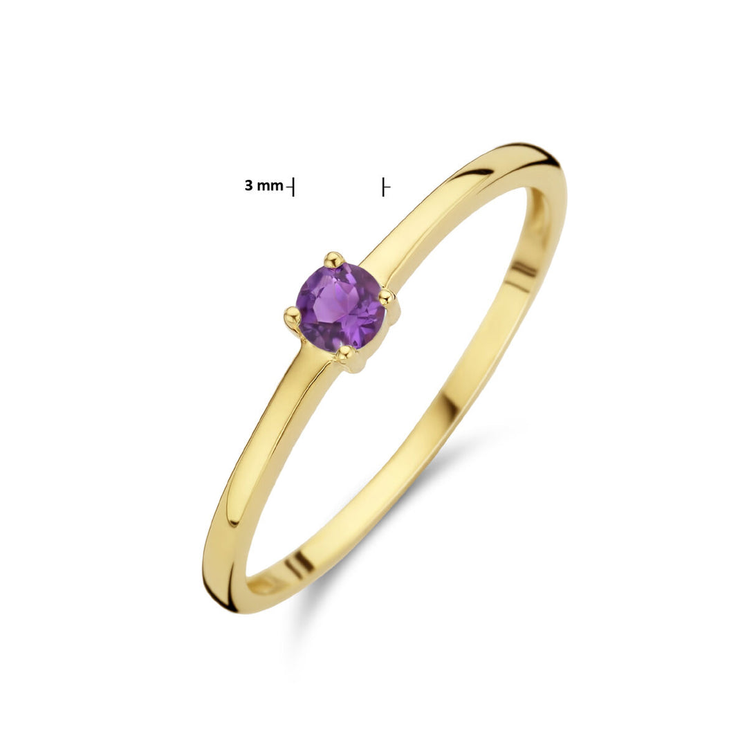 14k Geelgouden Ring Februari Amethist Geboortesteen 3mm