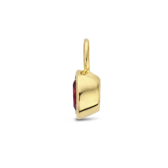 14K Geelgouden Oorringhanger Januari Geboortesteen 8,5x6mm – Per Stuk