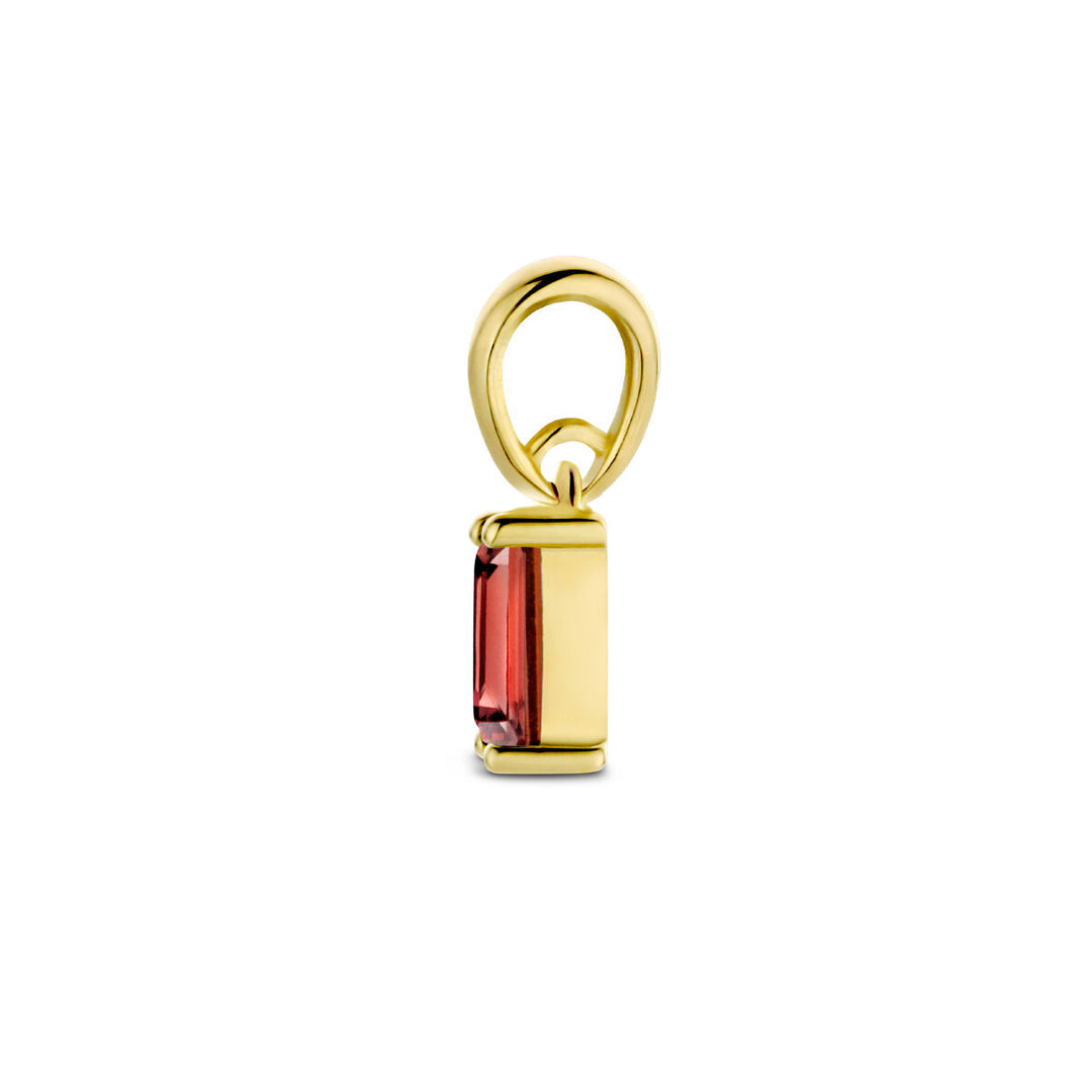 14K Geelgouden Hanger Januari Geboortesteen 9mm