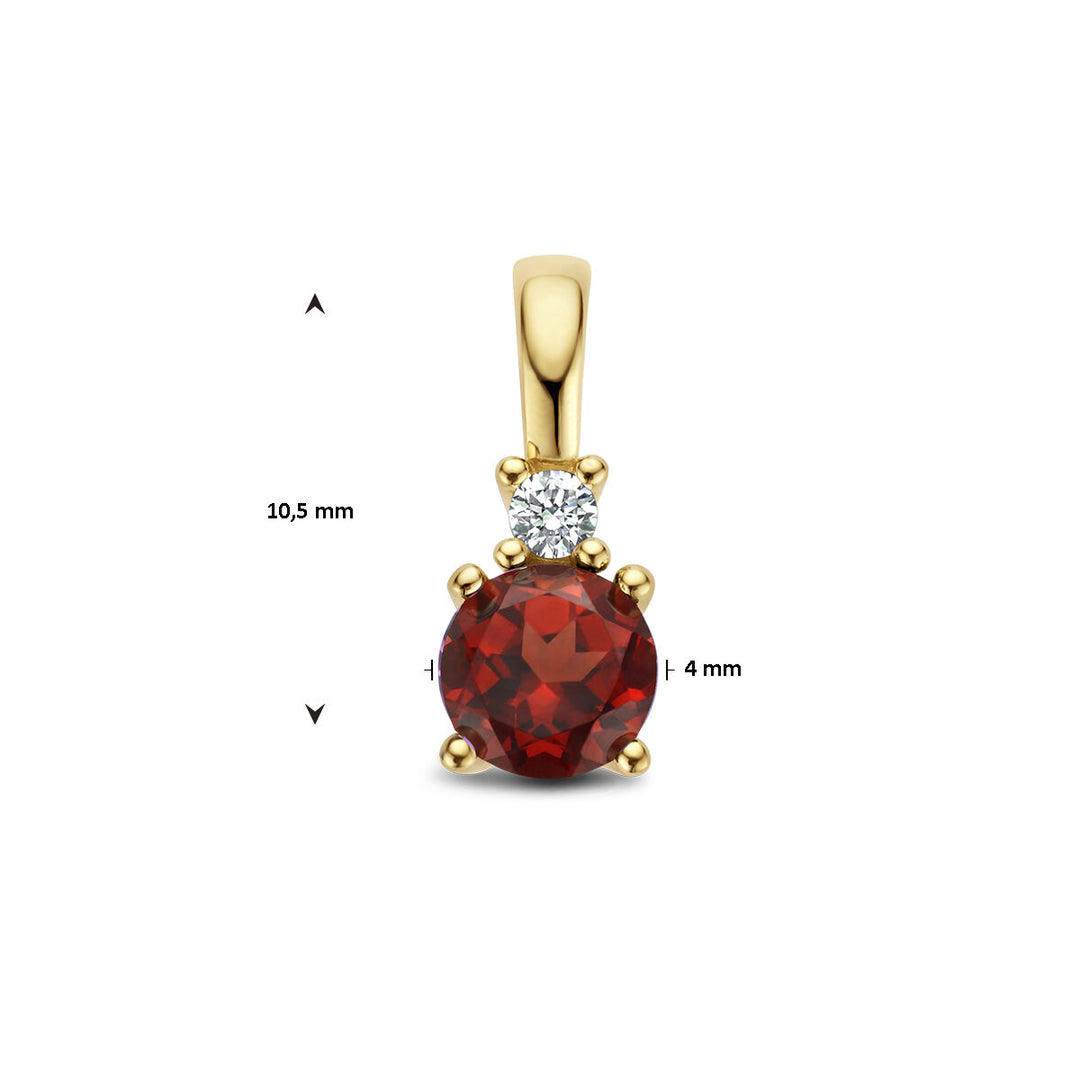 14K Geelgouden Hanger met Januari Geboortesteen & Diamant 0.02ct – 10,5mm