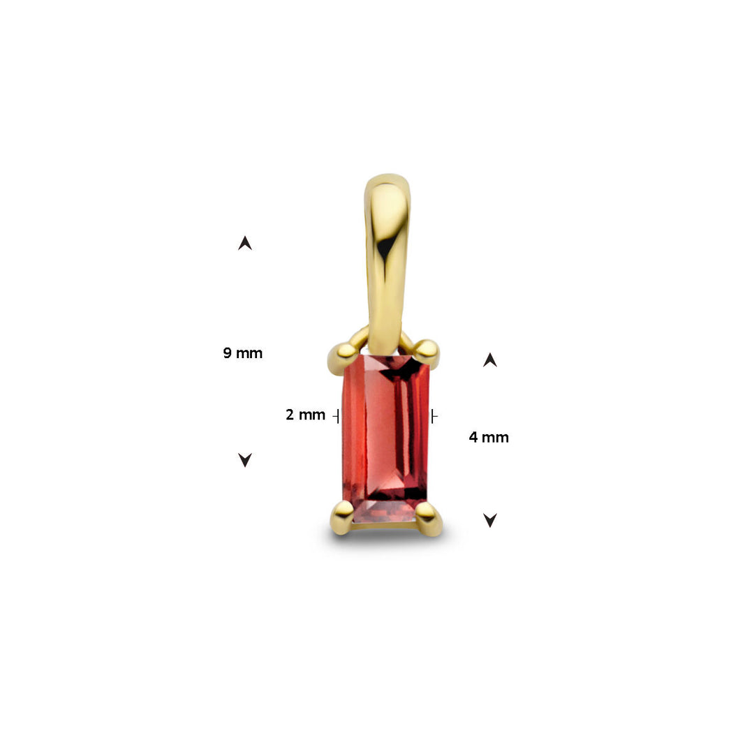 14K Geelgouden Hanger Januari Geboortesteen 9mm