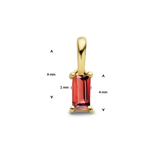 14K Geelgouden Hanger Januari Geboortesteen 9mm