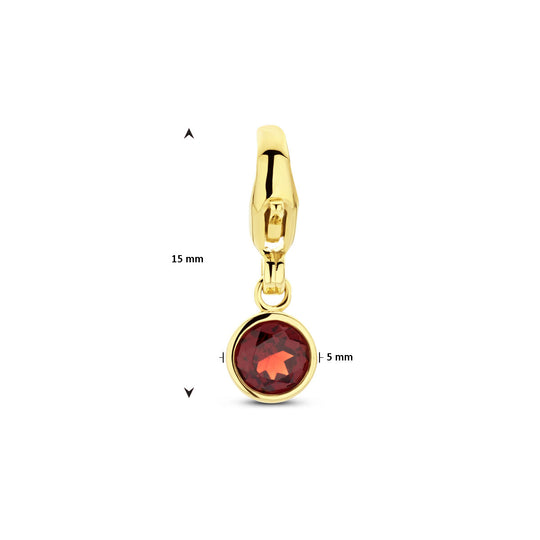 14k Geelgouden Slotbedel met Januari Geboortesteen 15x5mm