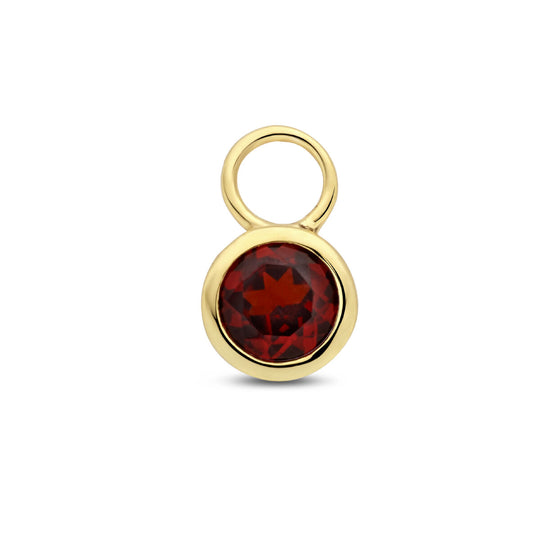 14K Geelgouden Oorringhanger Januari Geboortesteen 8,5x6mm – Per Stuk