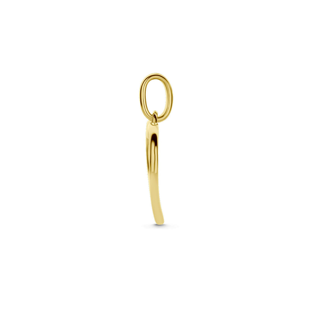 14k Bicolor Hartjes Hanger 16mm met Zirkonia – Wit & Geelgoud