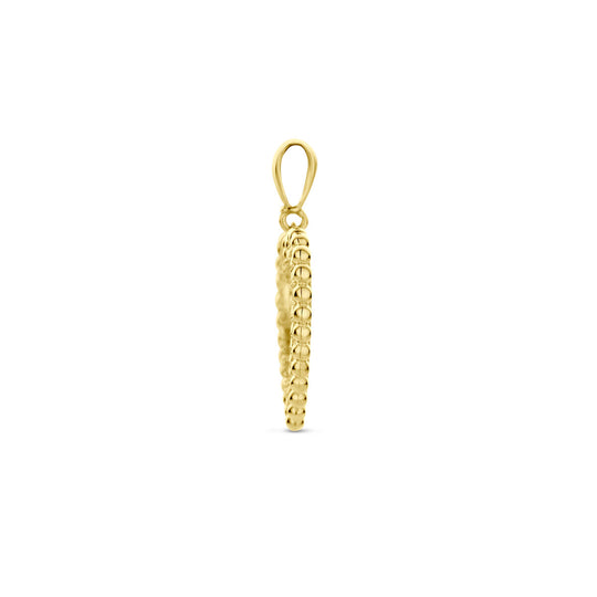 14k Geelgouden Hart Hanger 21,5mm met Zirkonia
